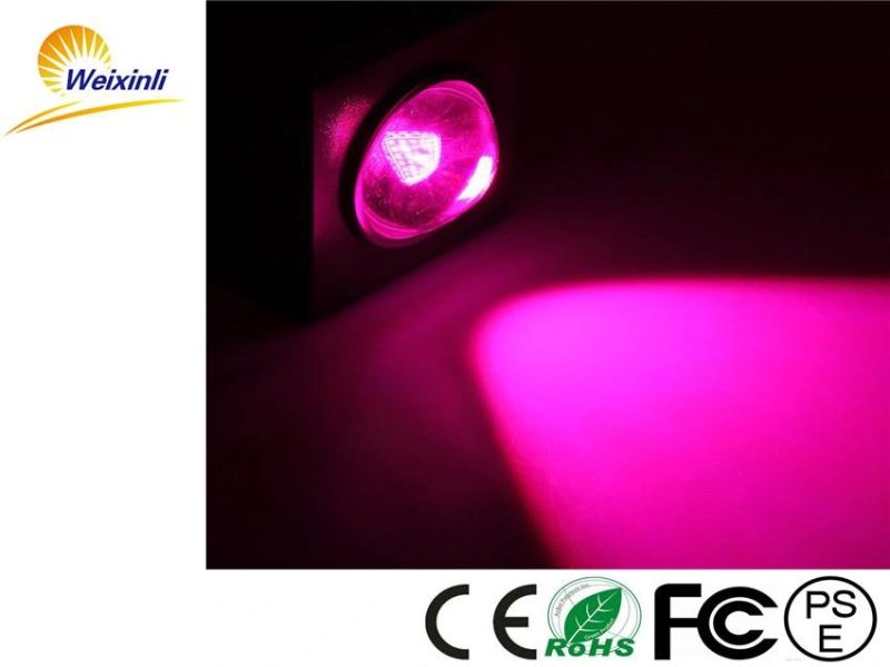 756W COB LED Grow Light for Plant Fruits Vegetables