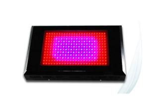 Classic 864W LED Grow Light (CDL-G2883)