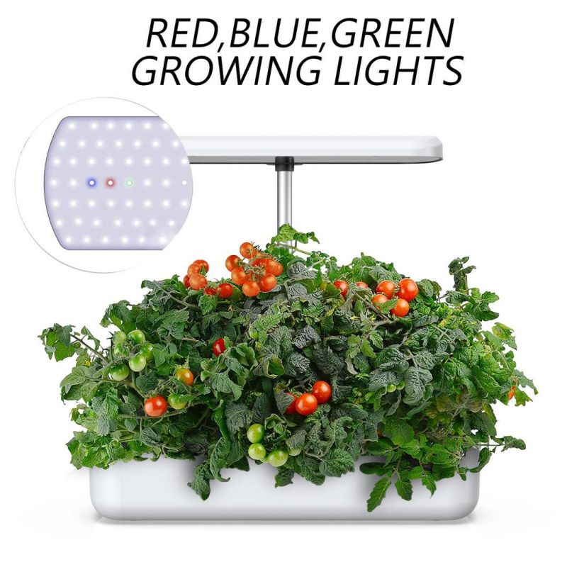 Indoor Soilless 10 Pots LED Lighting Automatic Watering Intelligence Annual Planter