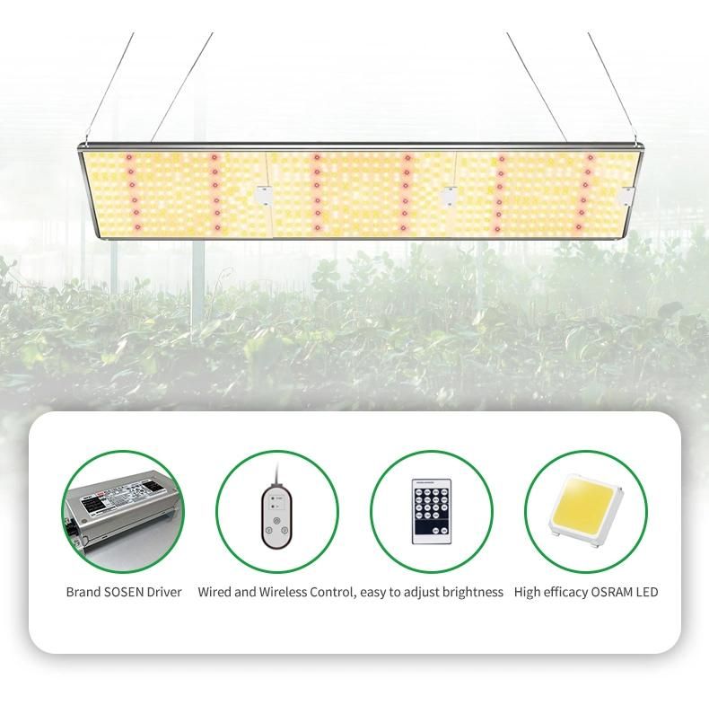 Hot Selling Indoor Farming Full Spectrum LED Quantum Board Grow Light for Medical Crops Vegetables Lettuce