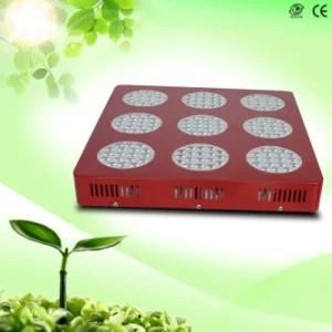 Full Spectrum Hydroponic 400W LED Lights for Growing and Flowering 3 Years Warranty