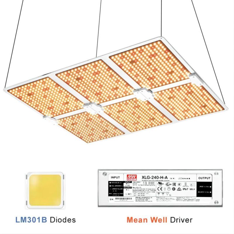 UL Certificate 600W LED Grow Panel Light Red for Indoor Farm Greenhouse Plant Growing