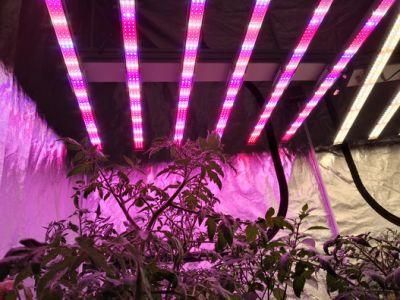 ATA 1000W LED Grow Light Full Spectrum Best Grow Lights LED Growing Tomato Cucumber Medical Plants