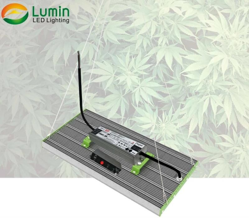 Lumin 320W High Ppfd Refurbished LED Grow Light with Wider Coverage Area