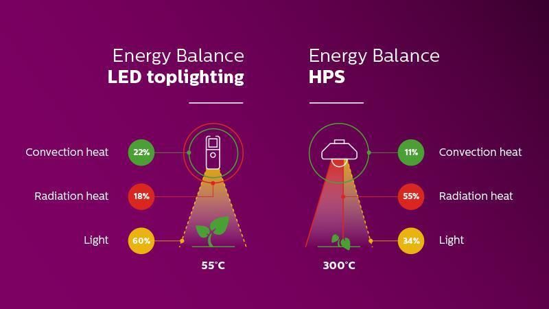 ISO Manufacturer 2020 LED Grow Light for Veg/Bloom