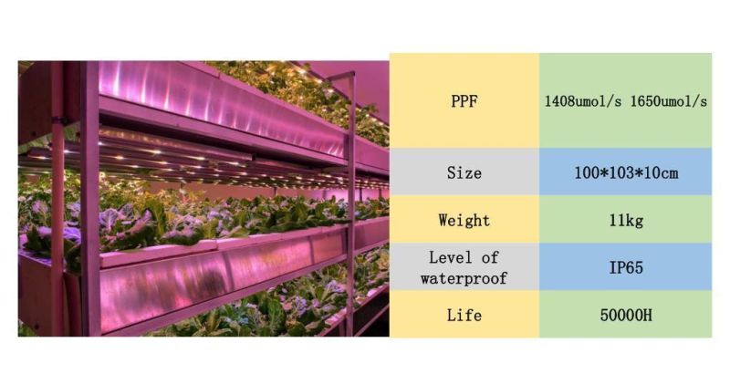 Greenhouse Hydroponic Aeroponic System Full Spectrum LED Grow Light