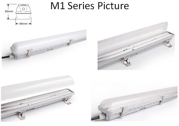 Waterproof Vapor Tight 4FT 5FT 60W LED Linear High Bay Lamp Tri-Proof Light