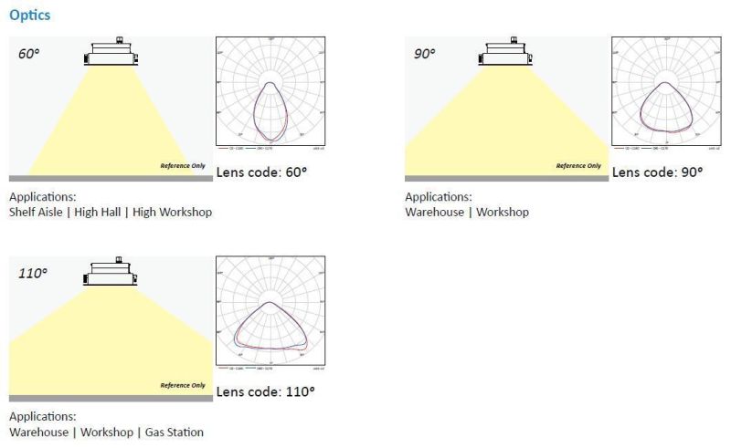 Atex 40W 80W 120W 160W Canopy Light with Lumileds LED