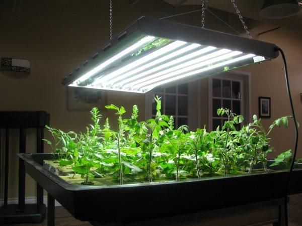 LED Grow Light IP65 Waterproof LED Bar Light