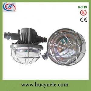 Popular! 18W -24W Explosion Proof LED Mining Safety Light, Laneway Light