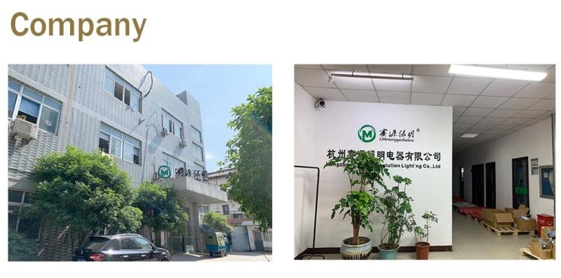 LED Professional Tri-Proof Linear Lighting Fixture
