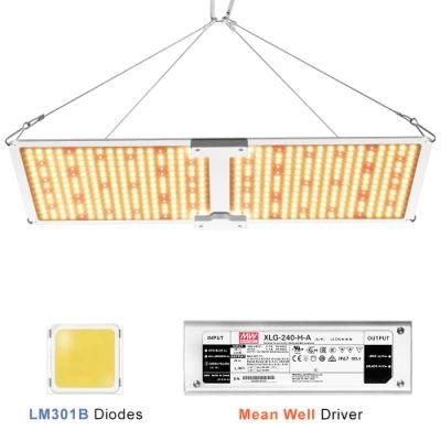 Bonfire High Quality 200W LED Grow Light with UL Certifition in The Horticulture