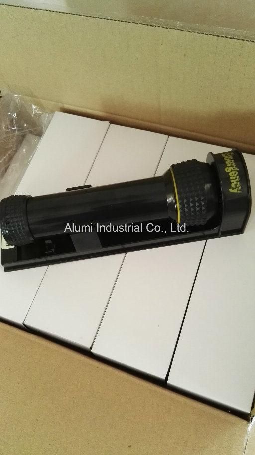 Wall Mounted Electric Hotel Torchlight