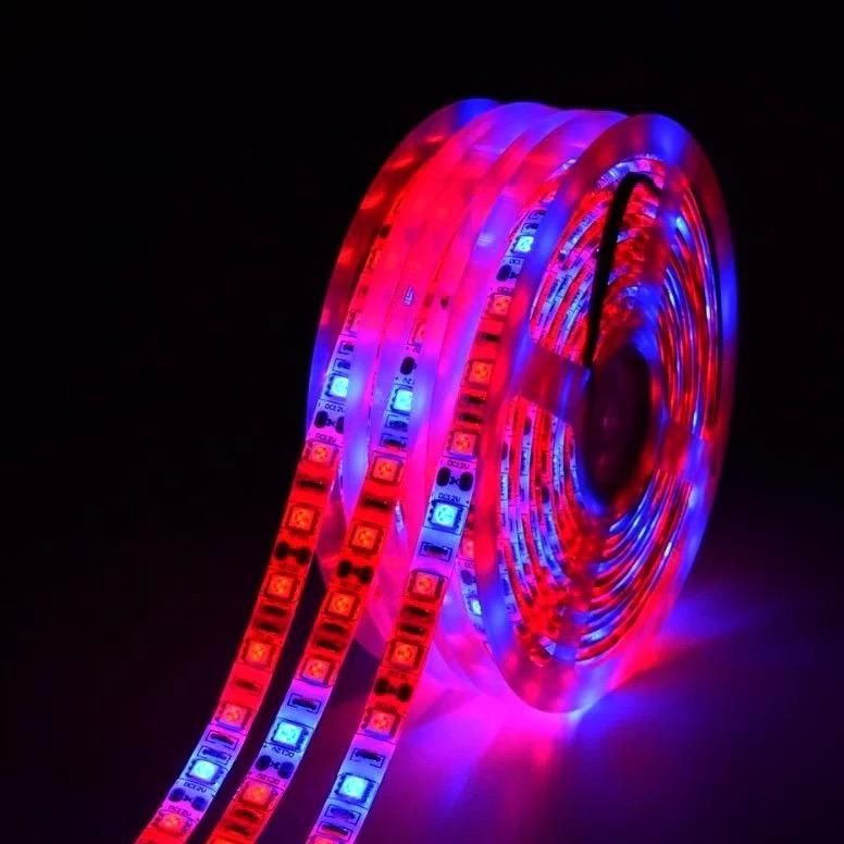 Original Factory Full Spectrum LED Grow Strip LED Plant Strip