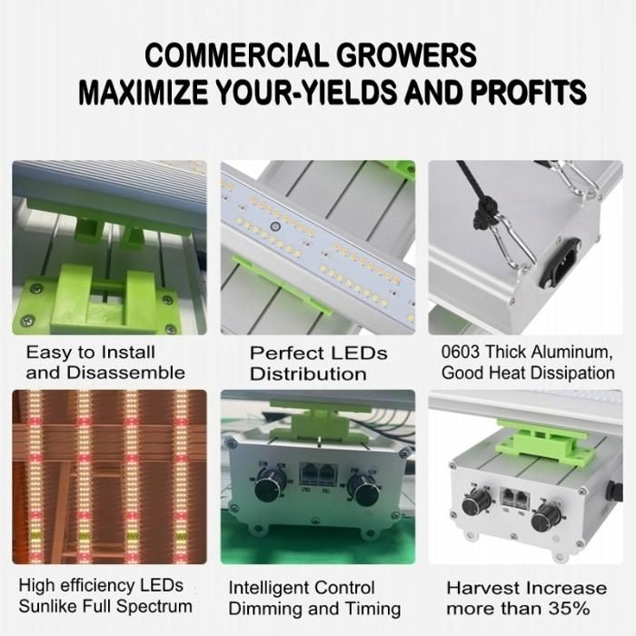 Dimmable Top LED Grow Lights 8 Bars 800W Indoor for Greenhouse, Hemp Cultivation & Medical Plants