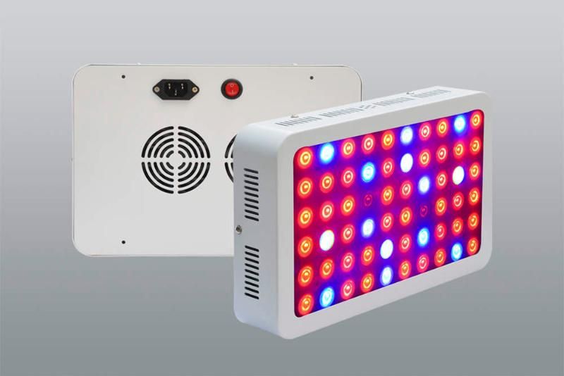 300W 600W 1000W Stable Function PF>0.9 LED Panel Grow Light