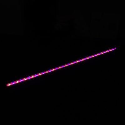 Full Spectrum LED Light Strip 48W LED Grow Light for Lettuce/Tomato/Strawberry with CE