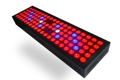 Shenzhen High Quality Low Prices 300W LED Grow Lamp