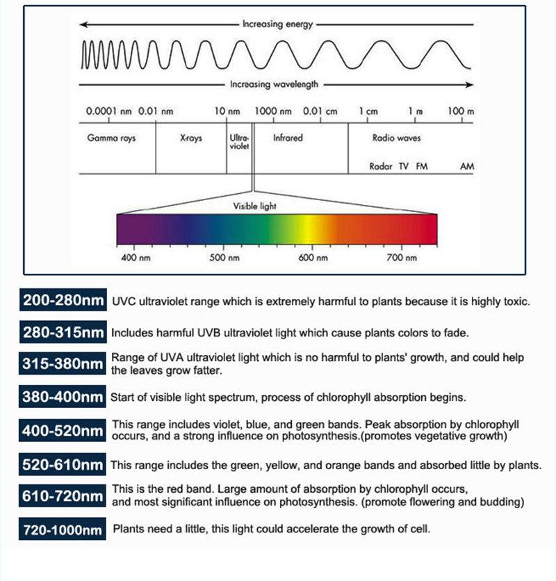 Best Price Full Spectrum Quantum Plant 600W 1000W 1200W LED Grow Lights Medical Plants LED Plant Lighting 300W Indoor Vertical Farming LED Grow Light