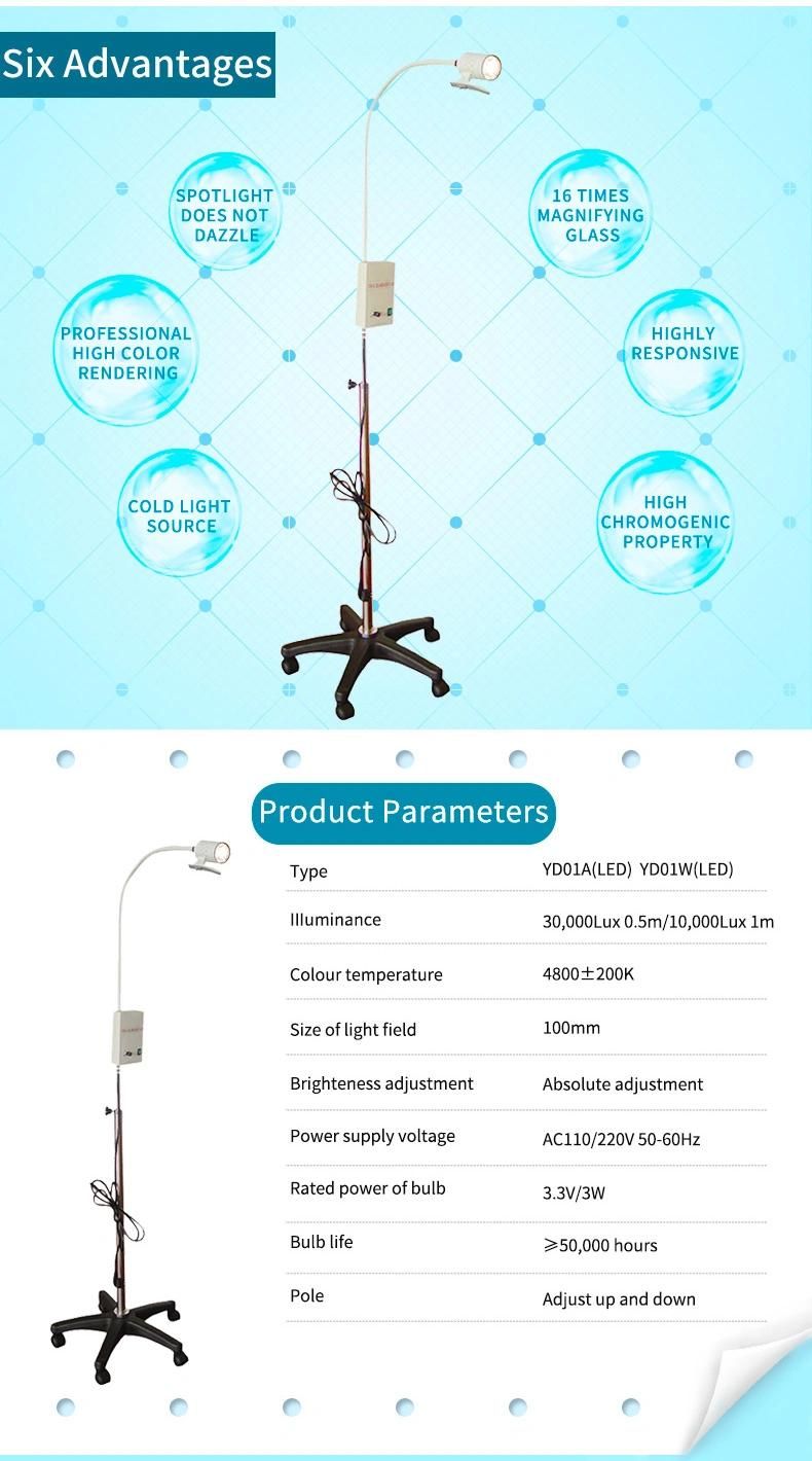 Floor Stand Goose Neck Pipe Medical Exam Lamp Portable