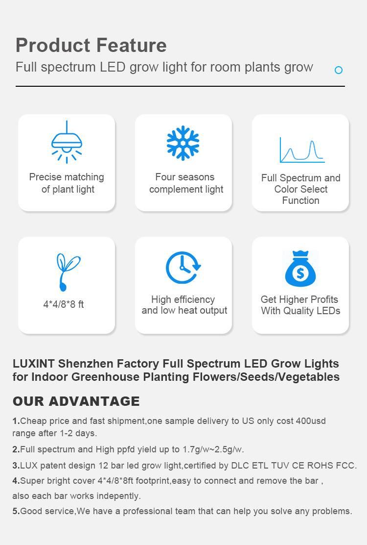 Full Spectrum 300W LED Plant Lights Water Culture Vegetable Lights LED Plant Growth Lamp Bulbs