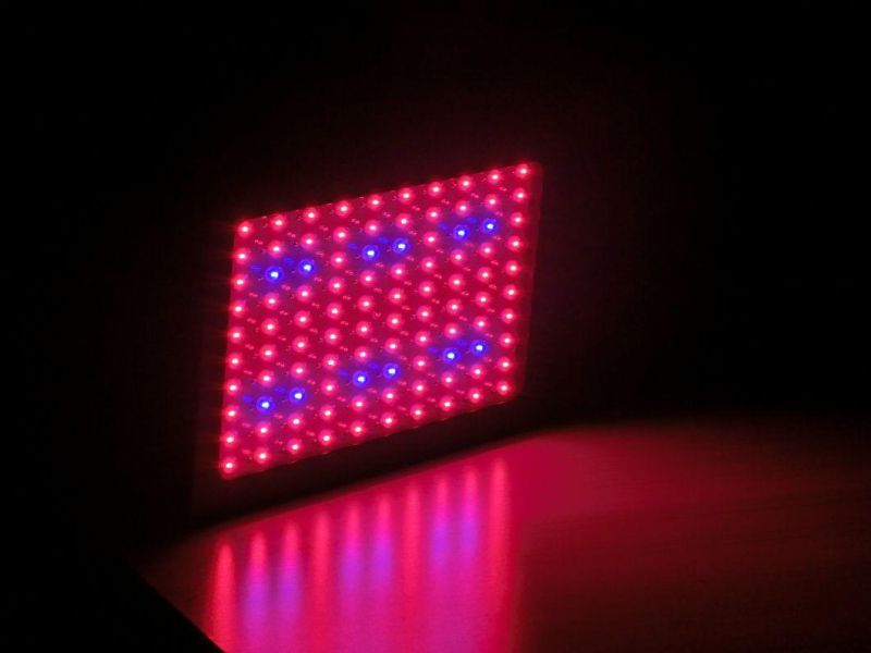 300W Energy Saving Panel LED Grow Light for Lettuce