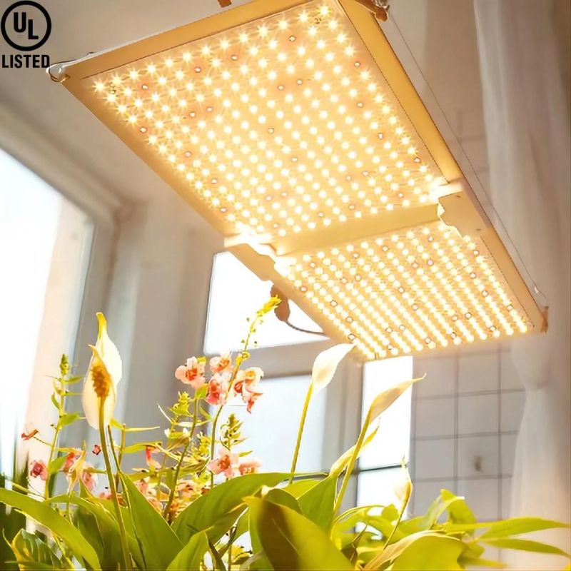 Hot Selling 200W IP65 LED Growth Light with UL Certifition in The Horticulture