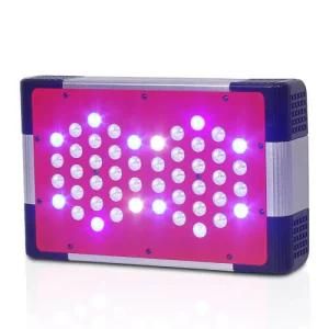 100W LED Grow Light