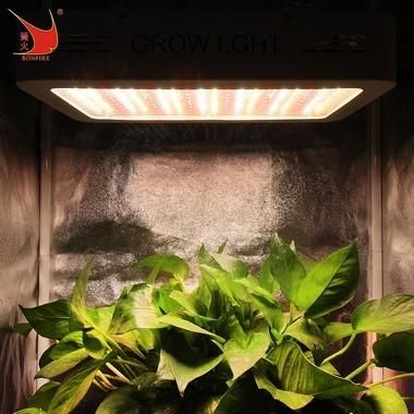 Location in The Greenhourse Bonfire Better Design LED Grow Light with UL Certification