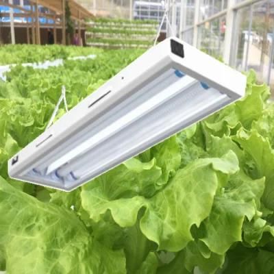 Light for Plant Growth T5 Fluorescent Grow Light