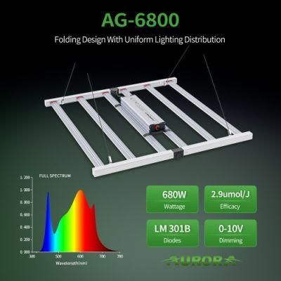 Premium 680W Full Spectrum Folding LED Grow Light for Horticulture Cultivation