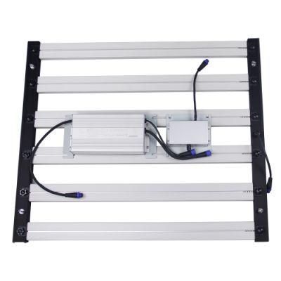 2021 New Hydroponic LED Full Spectrum Grow Light