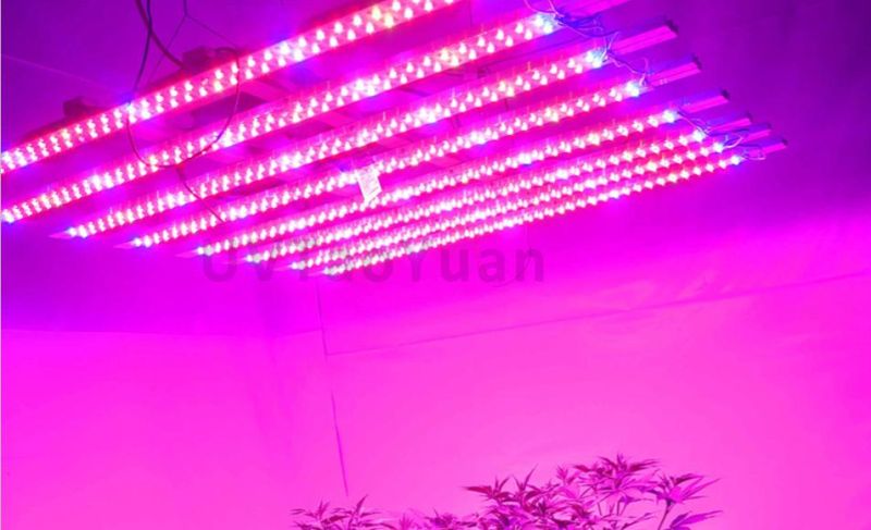 LED Grow Light Full Spectrum 380-840nm 100W