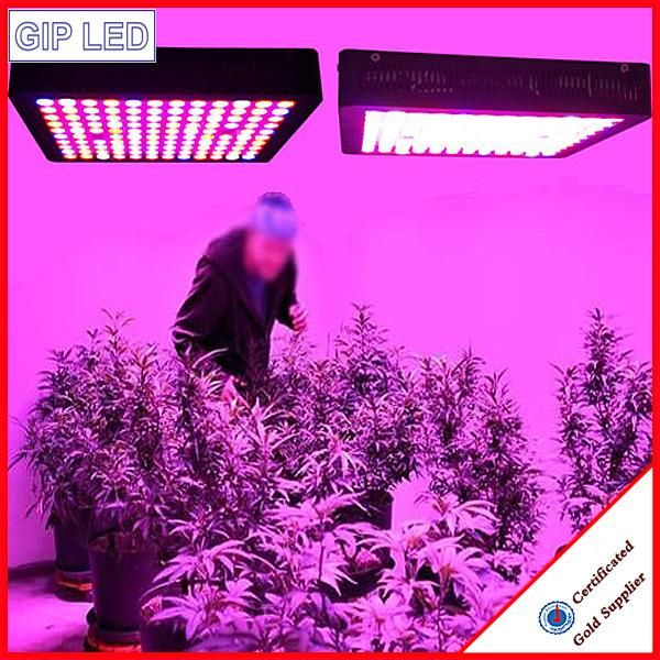 Best 600W Full Spectrum LED Grow Lights with Veg/Bloom