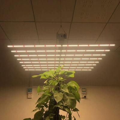 400W 640W 900W High Power Plant Growth Light Full Spectrum Plant Fill Light LED Plant Light