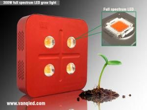 2013 Full Spectrum Lumini LED Light for Growing 300W, PRO LED Grow Light for Shop Stock