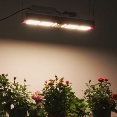 Ilummini Factory Direct Selling with 320W LED Grow Light Vertical Farming