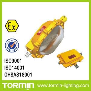 Explosion Proof LED Flood Lights