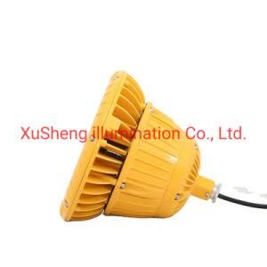 Reliable Explosion Proof LED Flood Light 24W Pendant Mounted