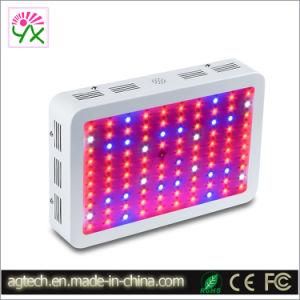 Greenhouse LED Grow Light LED Plant Grow 300W Full Spectrum LED Light for Hydroponic Growing