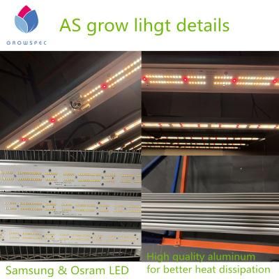 1000W Growing Chillies Indoors Under Lights Dimmable Cultivation Light