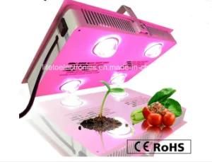 600W IP44 Full Spectrum 4COB LED Grow Light for Wholsale