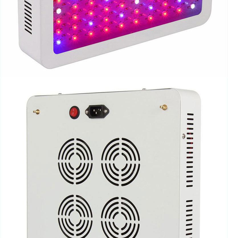 Best Price Full Spectrum Quantum Plant 600W 1000W 1200W LED Grow Lights Medical Plants LED Plant Lighting 300W Indoor Vertical Farming LED Grow Light