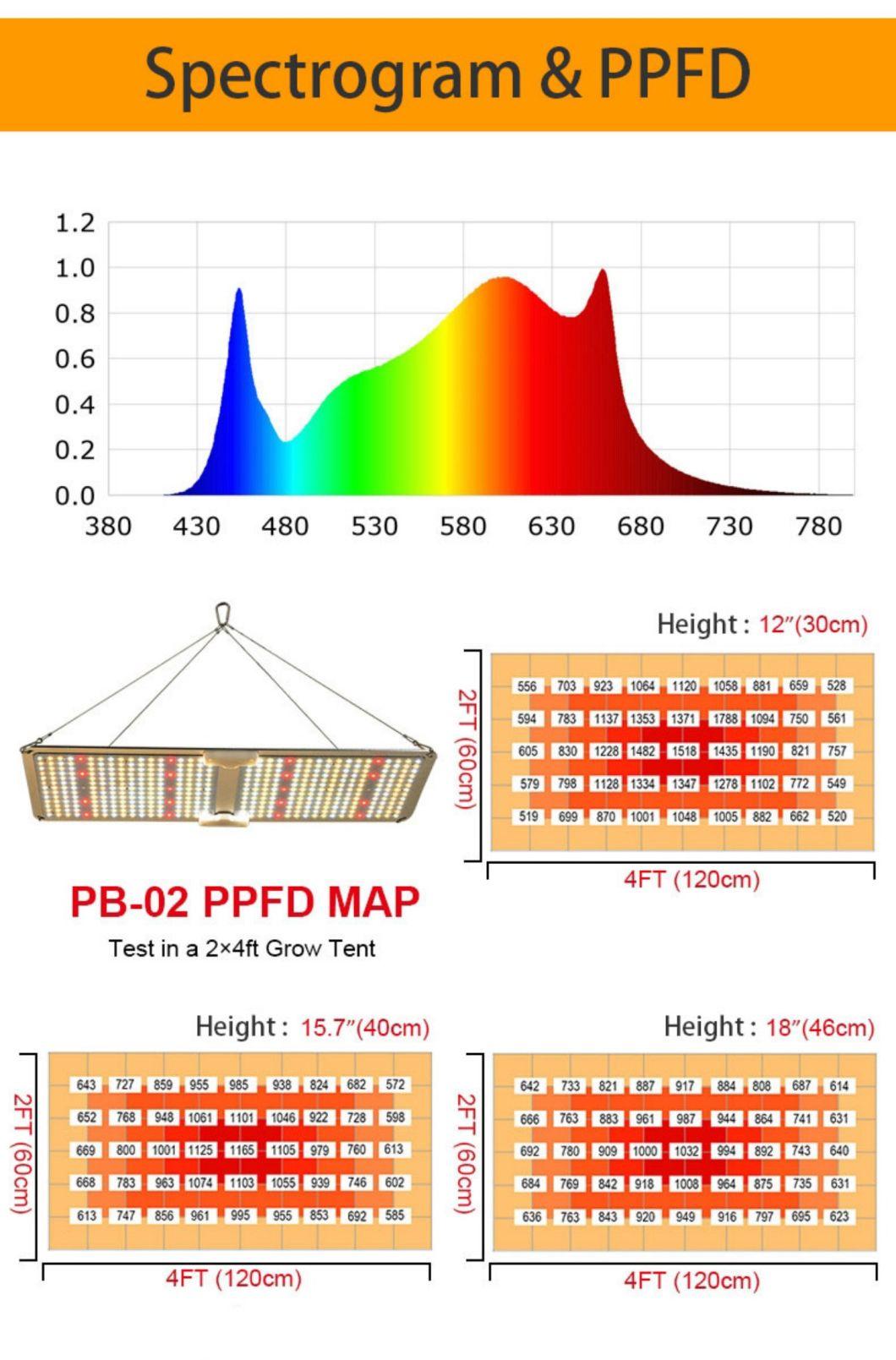 Easy Instullation 200W LED Growth Light with UL Certifition in The Greenhourse