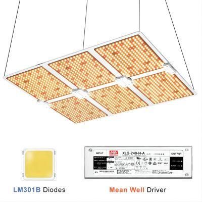 Samsumg LED Grow Panel Light 600W for Indoor Farm Greenhouse Plant Growing UL Certificate