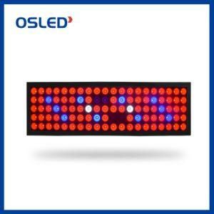 Indoor LED Grow Plant Light with Fan LED Plant Grow Light 2 Switch with 2 Channels