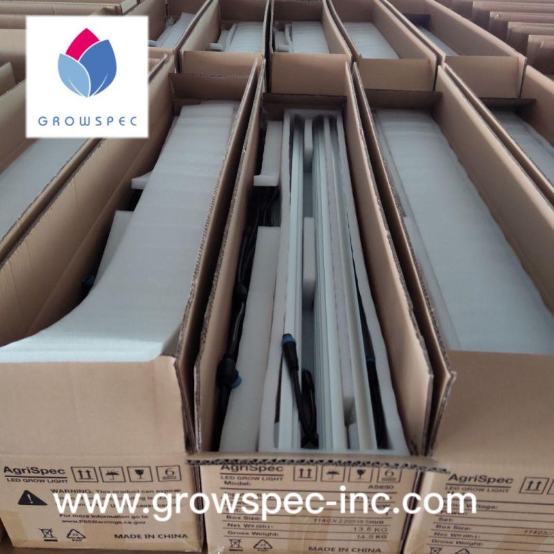 Growspec 1350ppfd Grow Lights 5 Years Warranty 1000W LED Grow Light