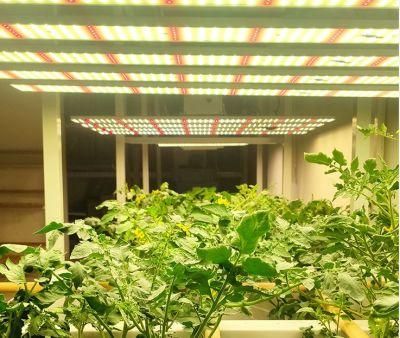 Full Spectrum 480W LED Light Growing Plants Indoor