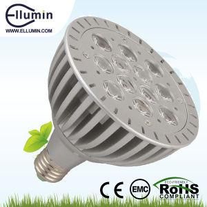 LED PAR38 Light 12W E27