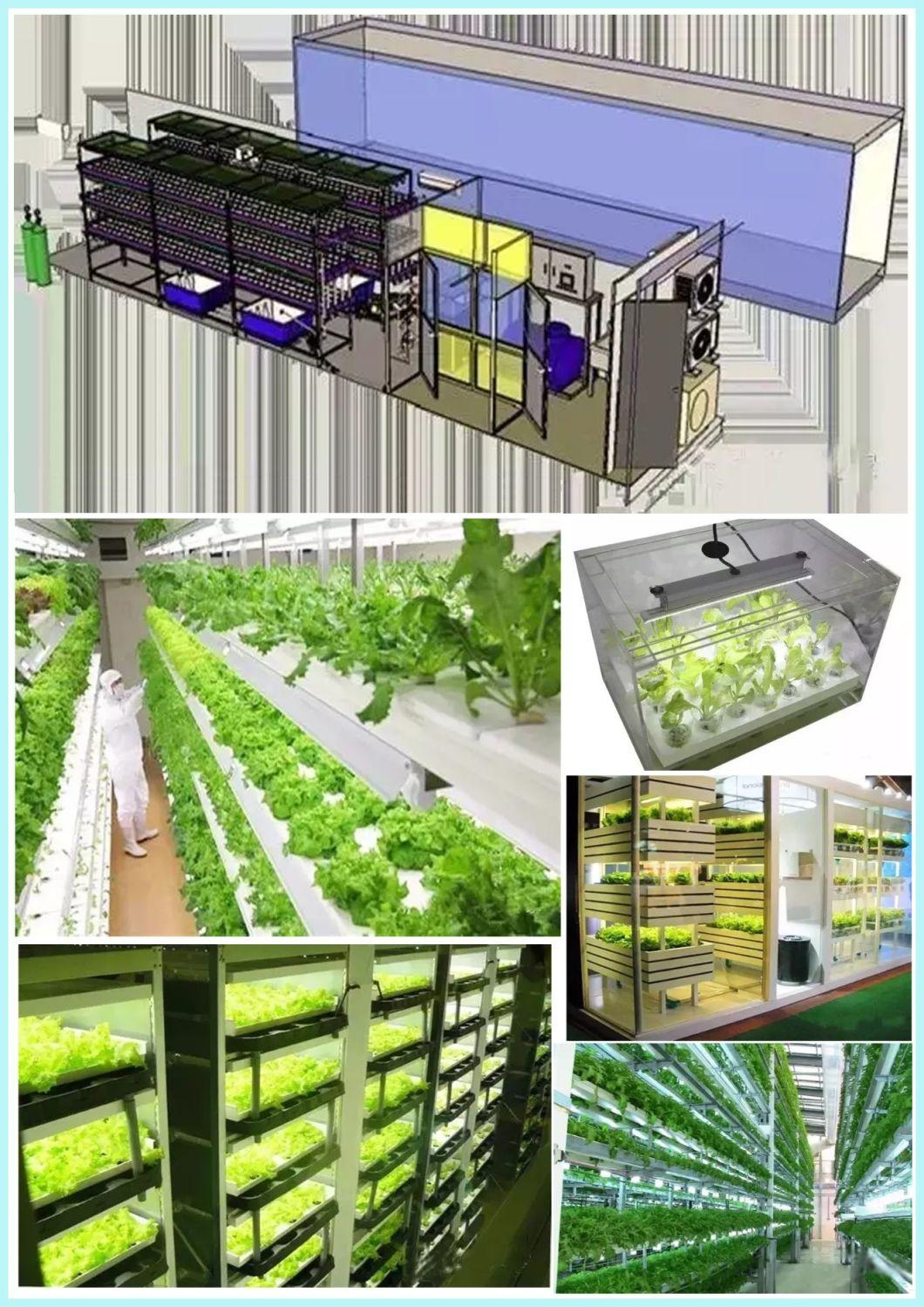 Lp Series 10 Full Spectrum Hydroponic Vertical Farming System Full Spectrum Flowering Bars LED Grow Light for Indoor Weed Medical Plant